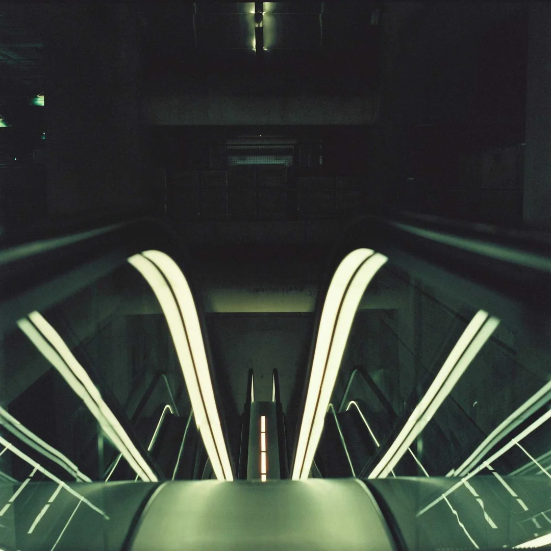 Path into the future